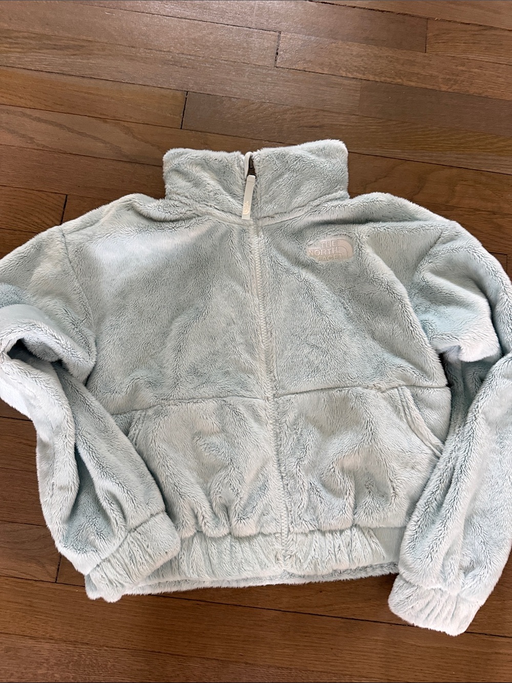 The North Face Pale Blue Plush Full-Zip Jacket 14/16